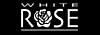 White Rose